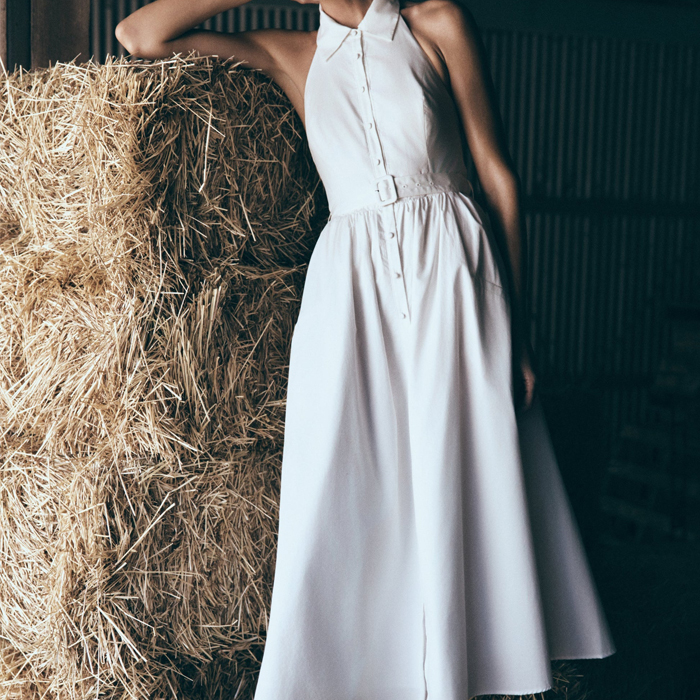 collared midi dress